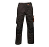 Regatta TRJ366R Heroic - Cargo Trousers — Black