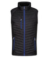 REGATTA TRA894 Navigate - HYBRID BODYWARMER — Black / Royal