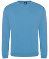 ProRTX RX301 Pro sweatshirt - Sky Blue