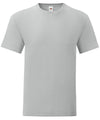 Fruit of the Loom SS430 Iconic 150 T — Zinc