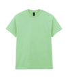 Gildan GD005 Heavy Cotton™ adult t-shirt