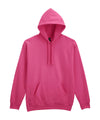 Gildan GD067 Softstyle™ midweight fleece adult hoodie
