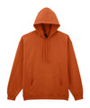 Gildan GD067 Softstyle™ midweight fleece adult hoodie