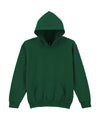 Gildan GD57B Heavy Blend™ youth hooded sweatshirt