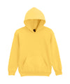 Gildan GD67B Softstyle™ midweight fleece youth hoodie