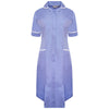 NCLD in Metro Blue/White Trim