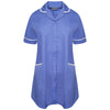 NCLTPSM in Hospital Blue/White Trim