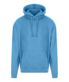 ProRTX RX350 Pro hoodie - Sky Blue