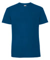Fruit of the Loom SS422 Iconic 195 ringspun premium T — Mountain Blue