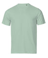 TEE JAYS TJ003 UNLABELED luxury tee (1150) - Mint