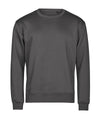TEE JAYS TJ012 UNLABELED sweatshirt (5150) - Dark Grey